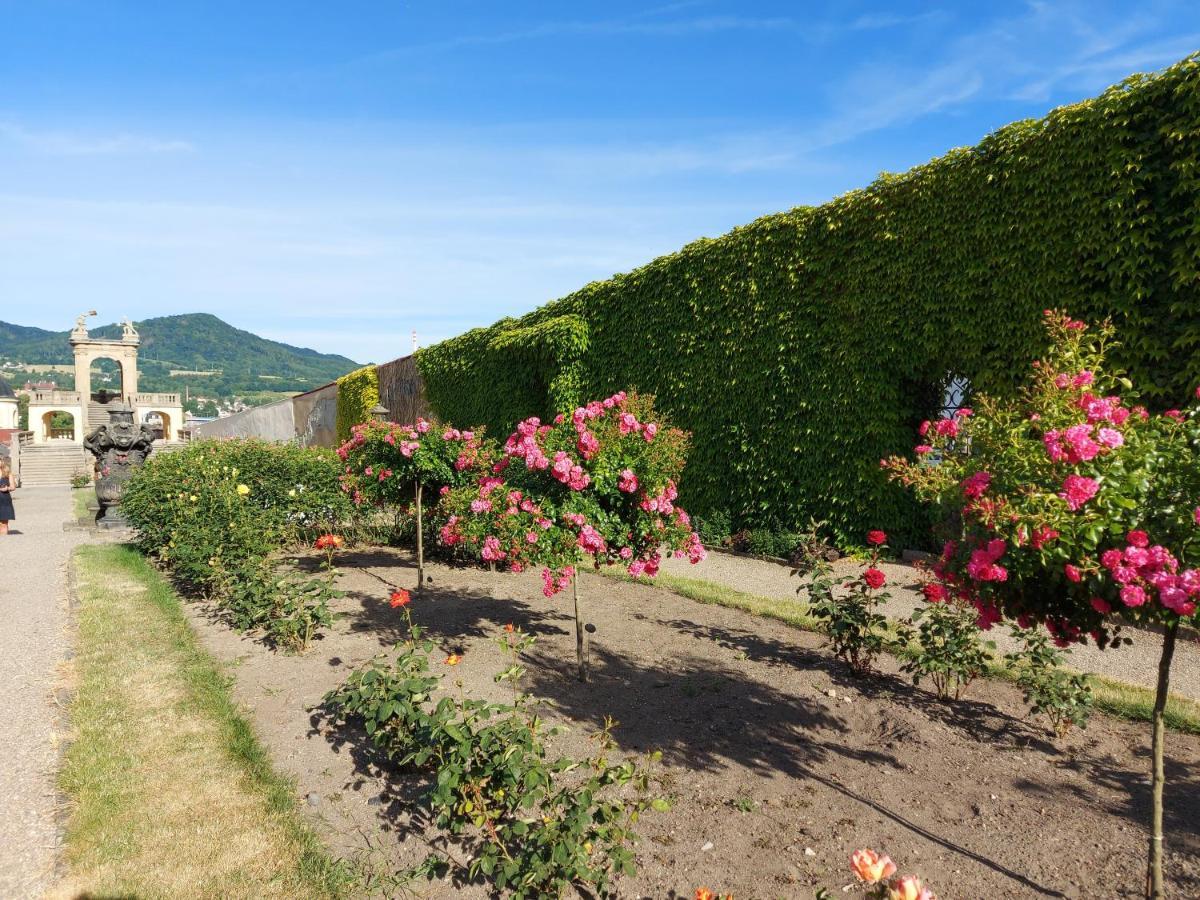 Apartments Rose Garden Decin Luaran gambar