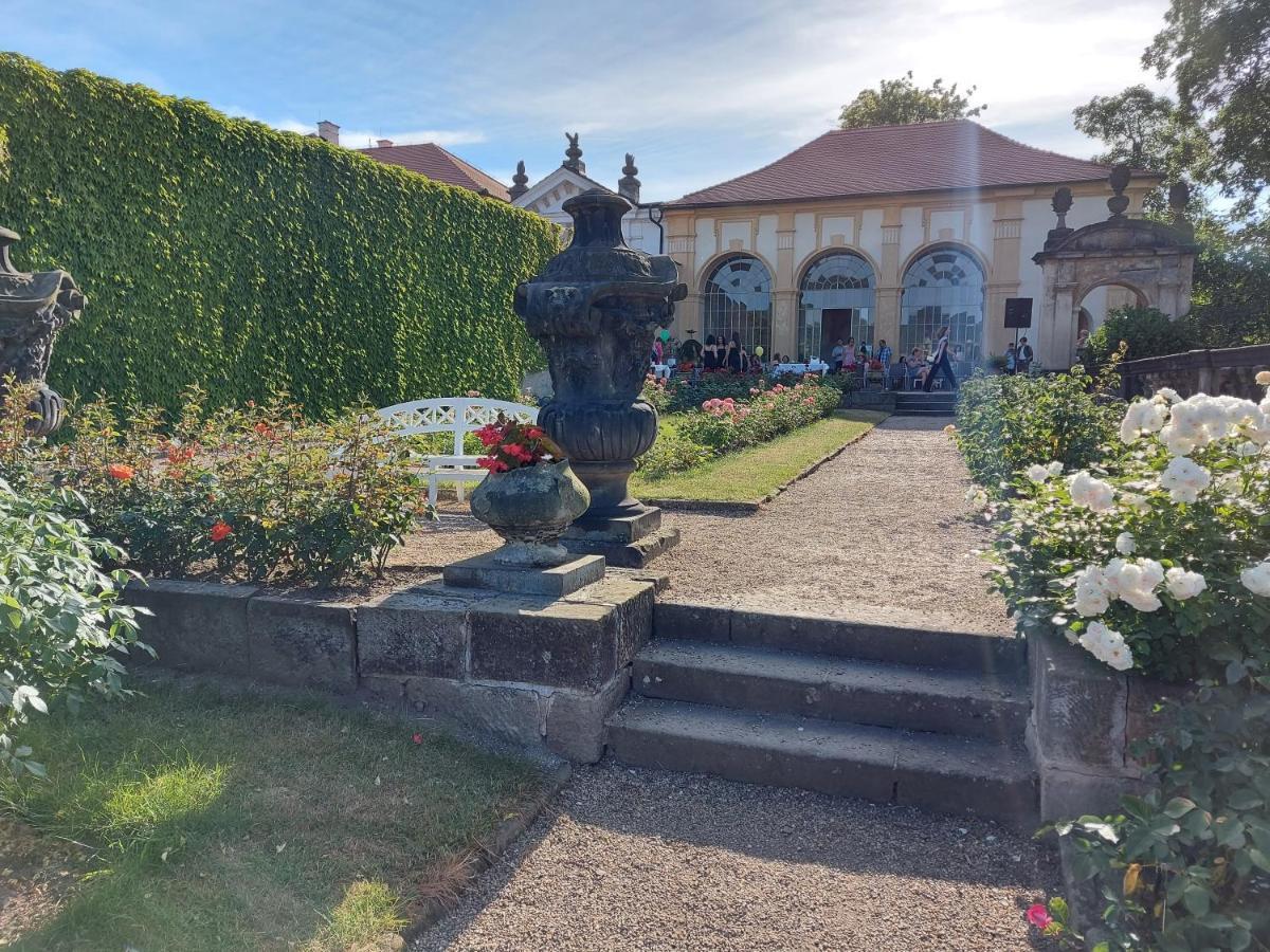 Apartments Rose Garden Decin Luaran gambar